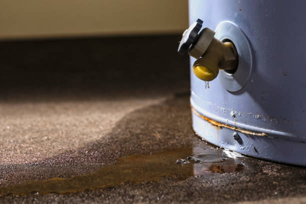 Best Water damage restoration near me  in Carbondale, CO