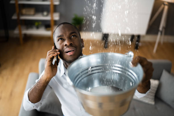 Best Water damage restoration near me  in Carbondale, CO