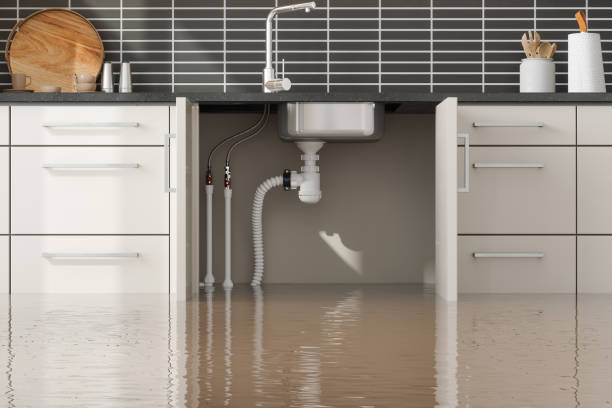 Best Water damage restoration specialists  in Carbondale, CO